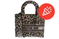 promotion icon