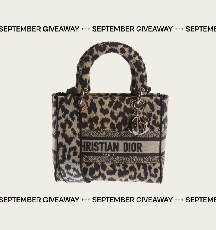 Dior D-Lite