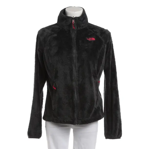 Zip-up Hoodie, in Dark Gray, Polyester, The North Face