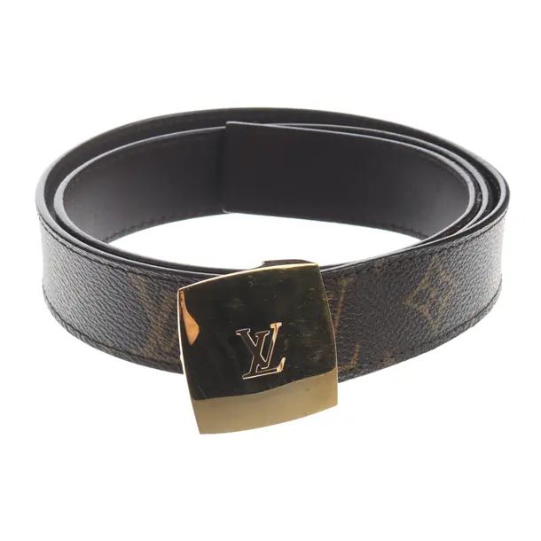 Belt, in Brown, Leather, Louis Vuitton