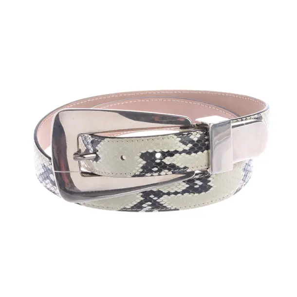 Cinture, in Multicolore, Pelle, Isabel Marant