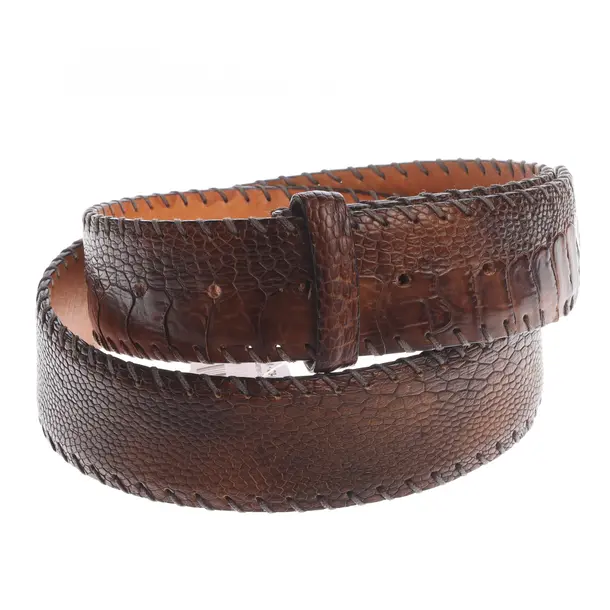 Belt in Brown, Leather, Reptile´s House