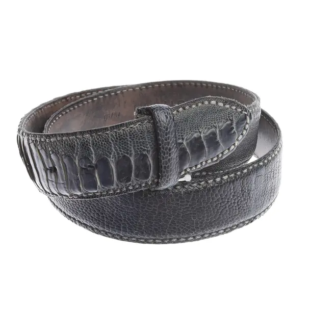 Belt in Blue, Leather, Reptile´s House