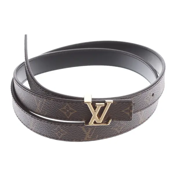 Belt, in Brown, Leather, Louis Vuitton