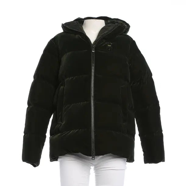 Winter Jacket, in Dark Green, Polyester, Blauer USA