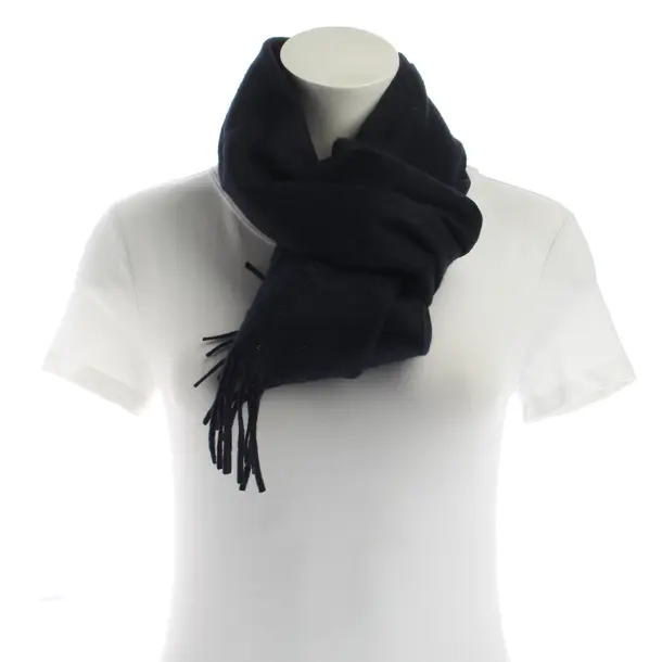 Scarf, in Blue, Cotton, Max Mara