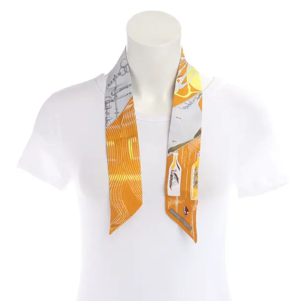 Shawl, in Multicolored, Silk, Hermès