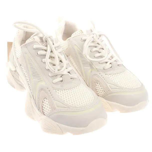 Sneakers, in Beige, Steve Madden