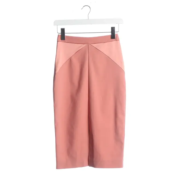 Gonna, in Rosa, Acetato, Blumarine