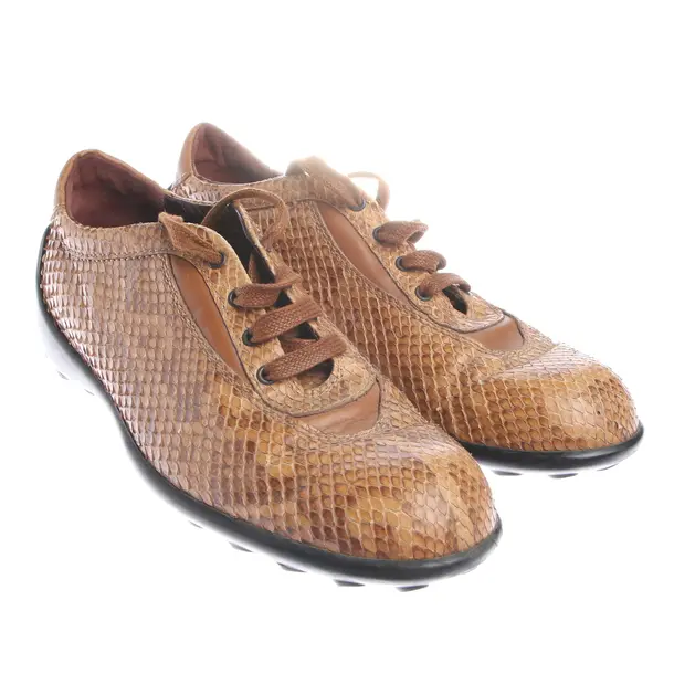 Lace up Shoes in Brown, , Tod´s