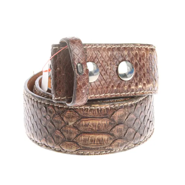 Belt in Brown, Leather, Reptile´s House