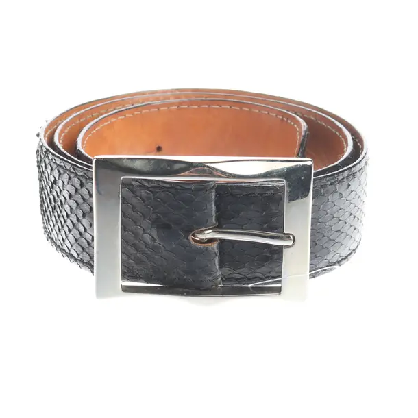 Belt, in Black, Leather, Reptile´s House