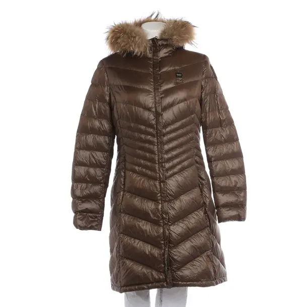 Winter Jacket in Brown, Polyamide, Blauer USA