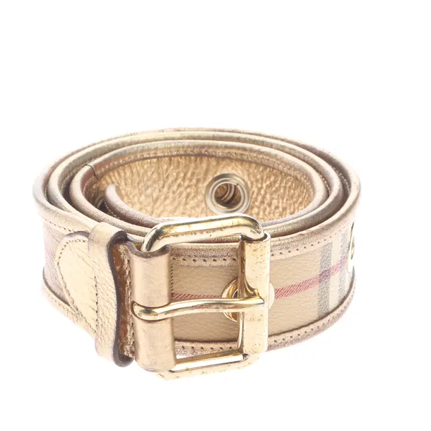 Belt, in Multicolored, Leather, Burberry