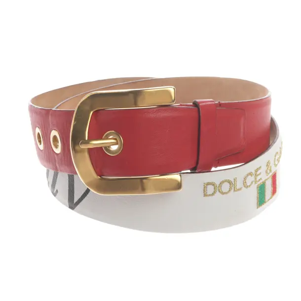 Belt, in Multicolored, Leather, Dolce & Gabbana