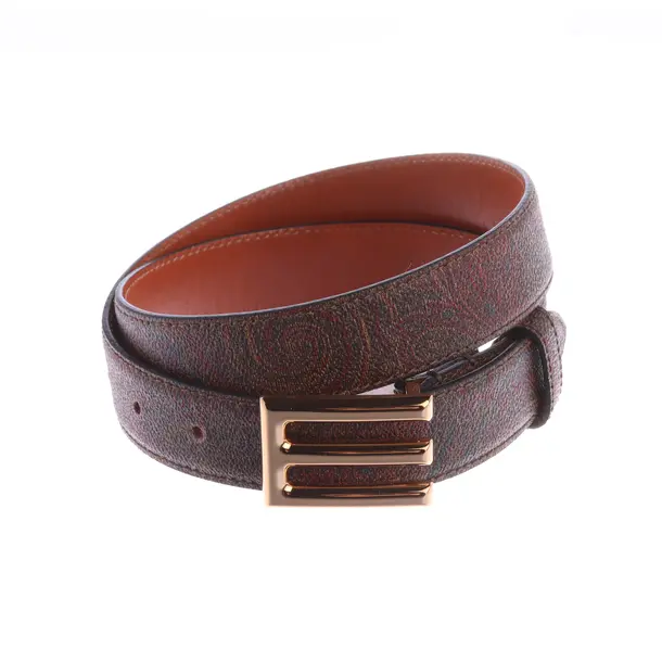 Belt, in Multicolored, Leather, Etro