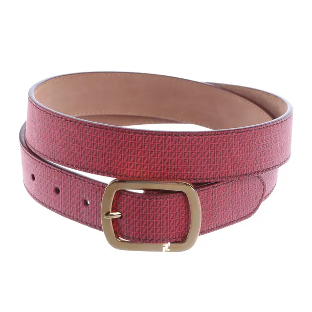 Cinture, in Rosso, Pelle, Fendi