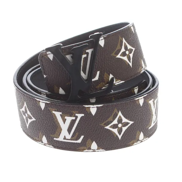 Belt in Multicolored, Leather, Louis Vuitton