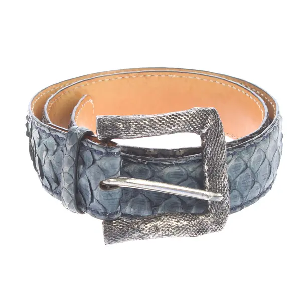 Cinture, in Blu, Pelle, Casa del rettile