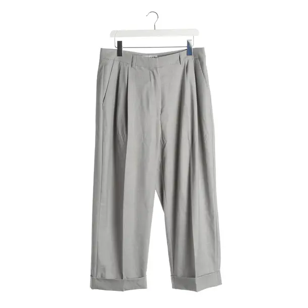 Hose, in Grau, Polyester, Munthe