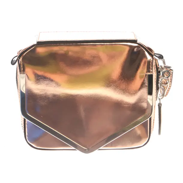 Clutch in Metallic, Polyamide, Alexander Wang