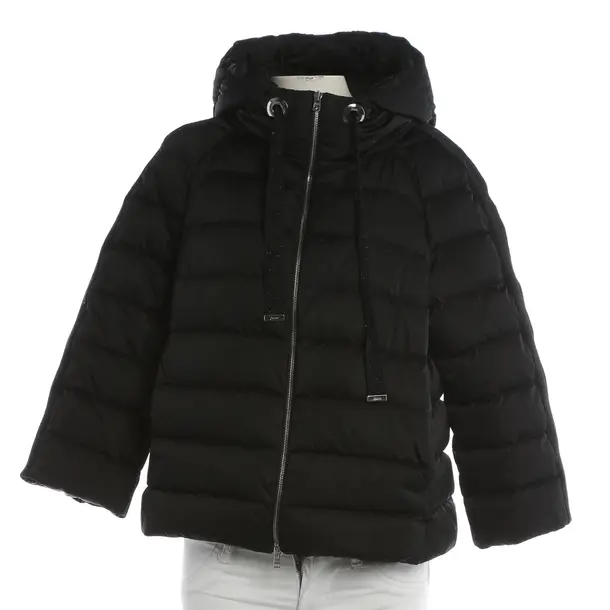 Winter Jacket, in Black, Polyester, Herno