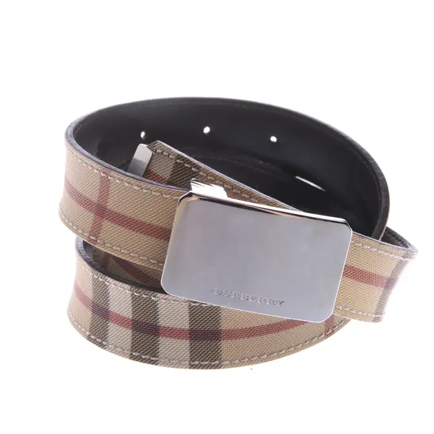 Belt in Multicolored, Leather, Burberry