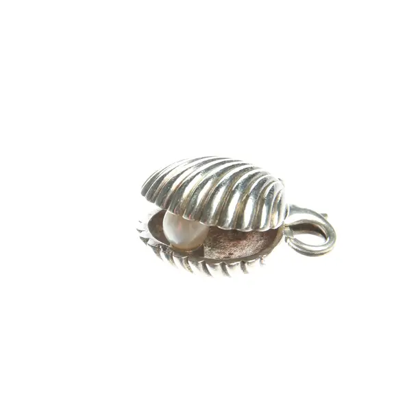 Pendant in Metallic, 925 Sterling Silver, Thomas Sabo