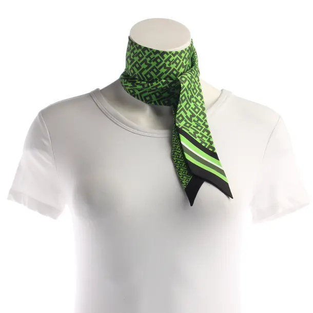 Stola, in Verde, Seta, Longchamp