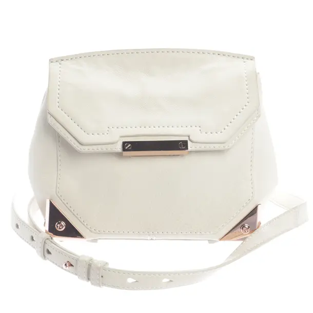 Umhängetasche, in Beige, Leder, Alexander Wang