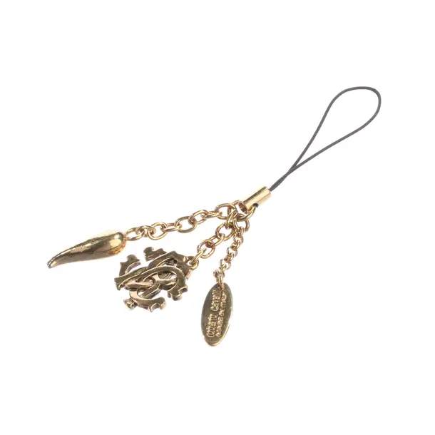 Keyring, in Gold, Metal (metallic, metallised), Roberto Cavalli