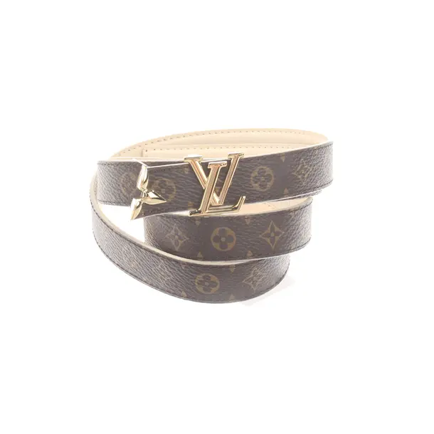 Gürtel, in Braun, Leder, Louis Vuitton