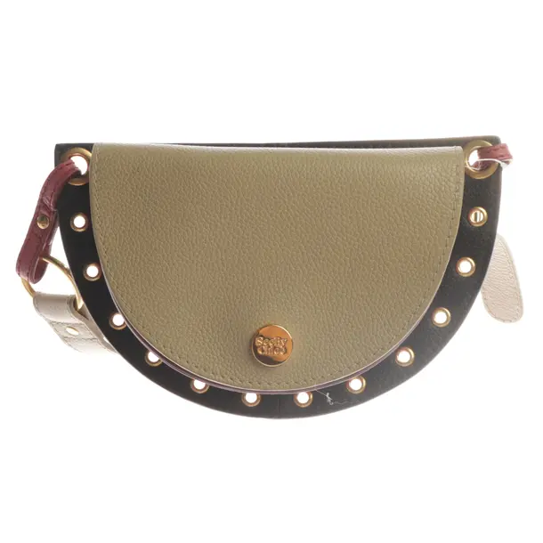 Shoulder Bag, in Multicolored, Leather, See by Chloé