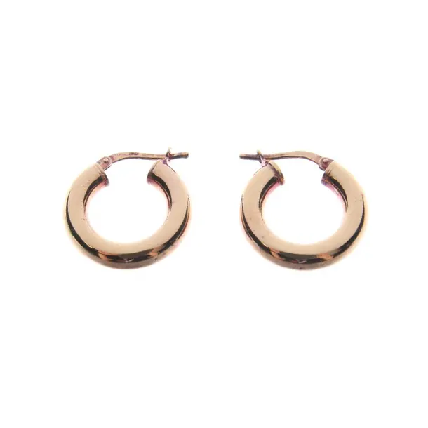Earrings in Metallic, 925 Sterling Silver, Bottega Veneta