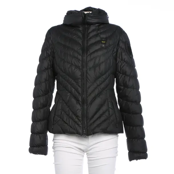 Winter Jacket in Gray, Polyester, Blauer USA
