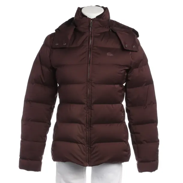 Winter Jacket in Brown, Polyester, Lacoste
