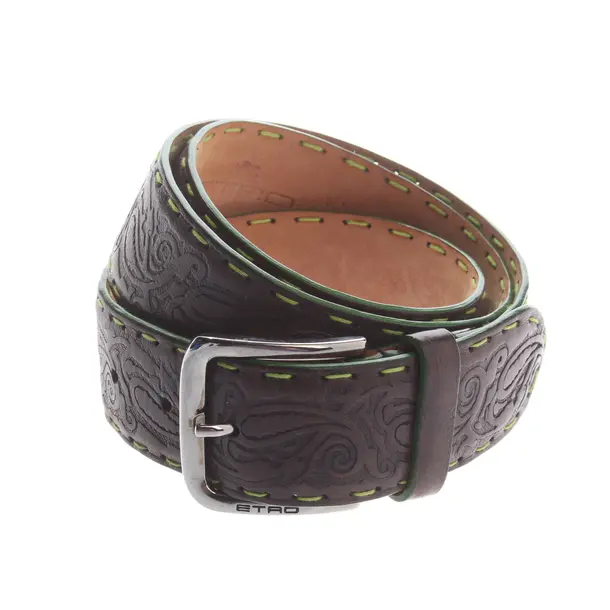 Belt in Brown, Leather, Etro