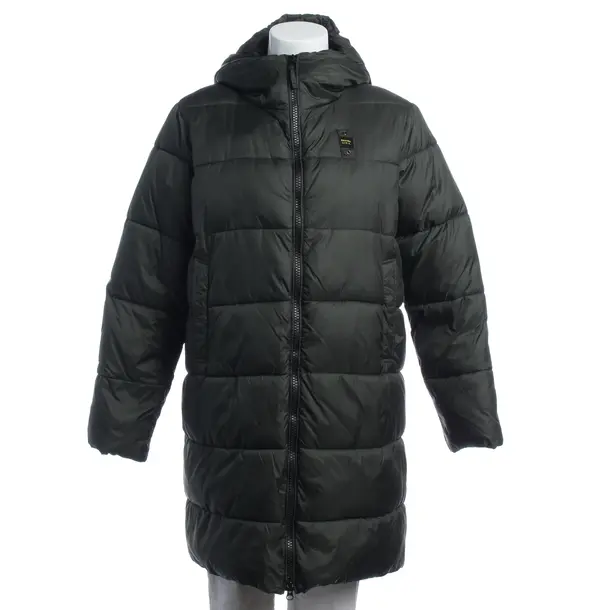 Winter Jacket in Green, Polyamide, Blauer USA