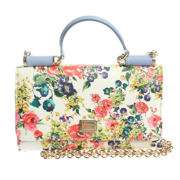 Wallet on Chain in Multicolored, Leather, Dolce & Gabbana