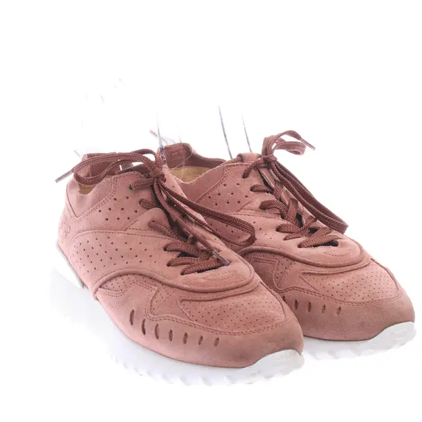 Sneakers in Brown, , Tod´s