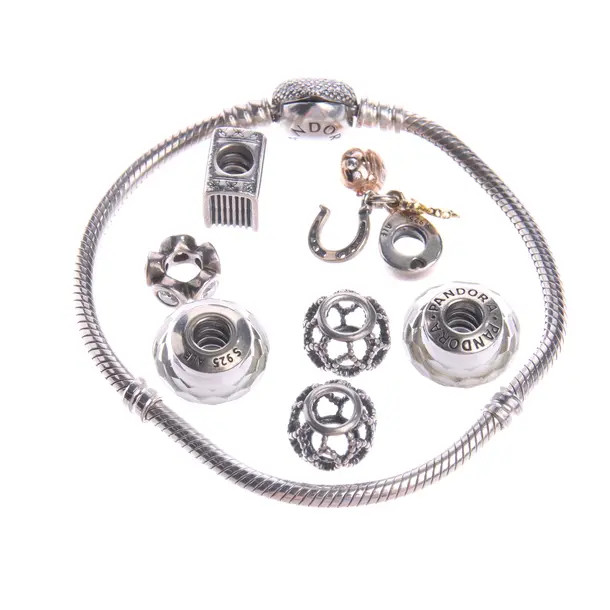 Armband in Metallic, 925er Sterling Silber, Pandora