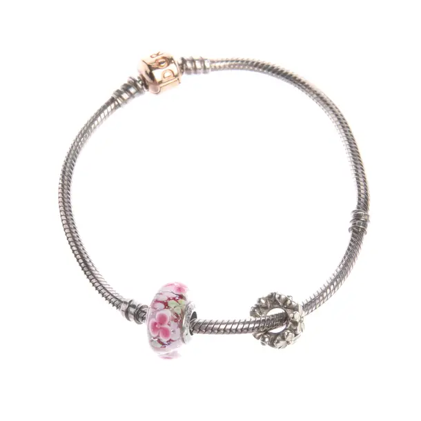 Bracelet in Multicolored, 925 Sterling Silver, Pandora