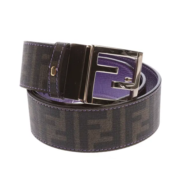Belt in Brown, Leather, Fendi