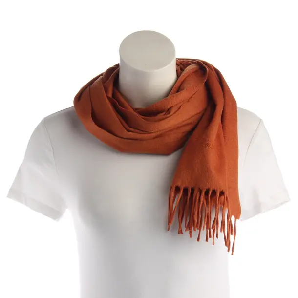 Scarf, in Dark Orange, Cashmere, Brioni