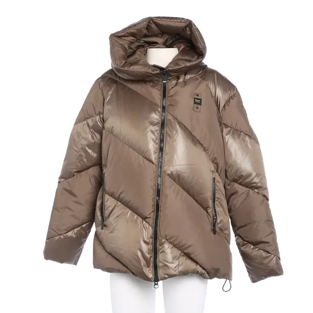 Winter Jacket in Brown, Polyester, Blauer USA
