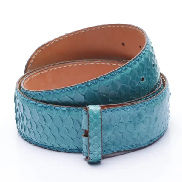 Reptile´s House Belt Size 90 cm in Blue