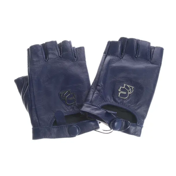 Leather Gloves in Blue, Leather, Karl Lagerfeld