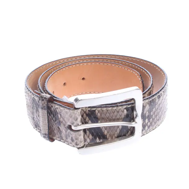 Belt, in Multicolored, Leather, Reptile´s House