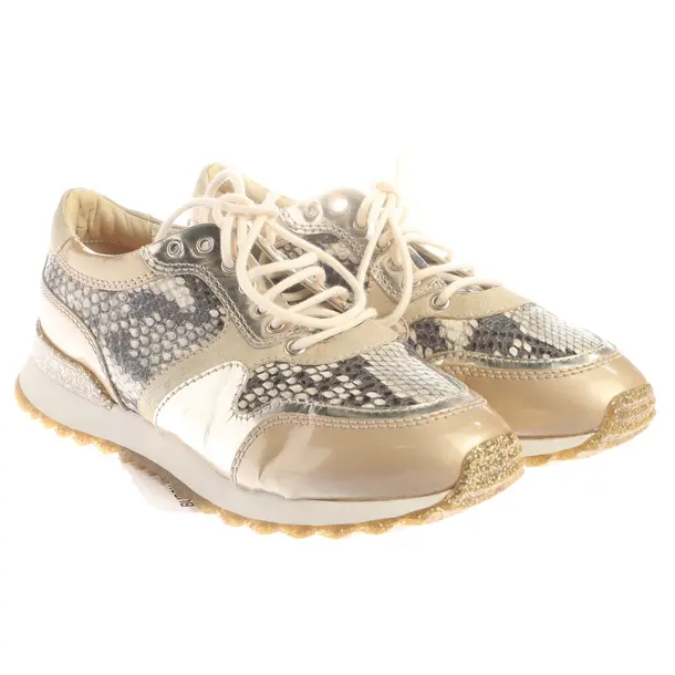 Sneakers in Multicolored, , AGL Attilio Giusti Leombruni