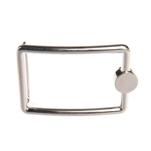 Gürtelschnalle in Metallic, Metall (metallisch, metallisiert), Hermès